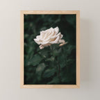 White Rose Mini Art Print Gallery Image 1
