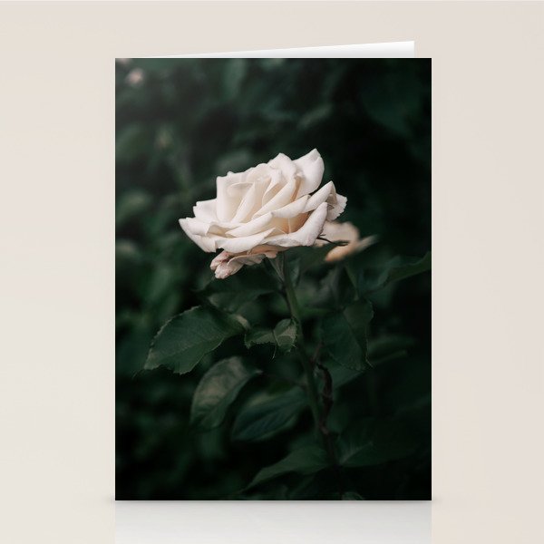 White Rose Stationery Card Gallery Image 1
