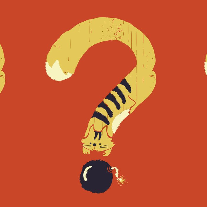 Question Mark (Curiosity Kills The Cat) Coffee Mug Gallery Image 2