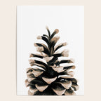 Pinecone Poster Gallery Image 4