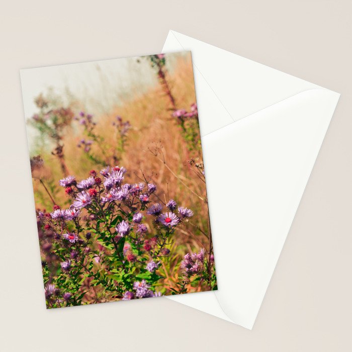 Casual Affair aster - wildflower nature photograph Stationery Card Gallery Image 2