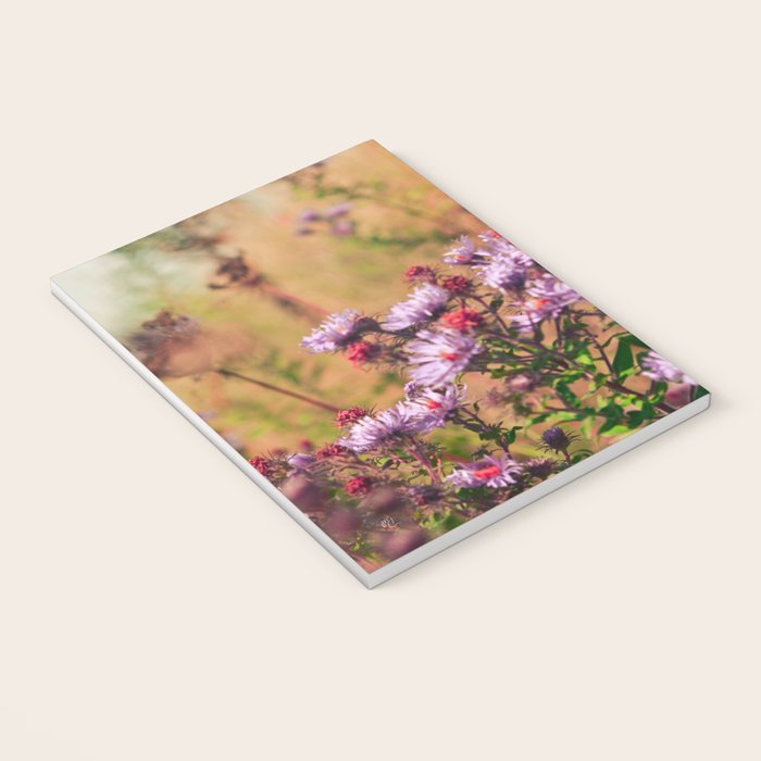 Casual Affair aster - wildflower nature photograph Notebook Gallery Image 3