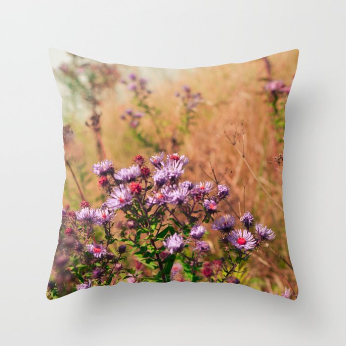 Casual Affair aster - wildflower nature photograph Throw Pillow Gallery Image 1