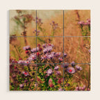 Casual Affair aster - wildflower nature photograph Wood Wall Art Gallery Image 1