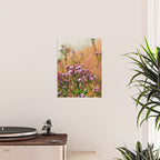 Casual Affair aster - wildflower nature photograph Poster Gallery Image 2