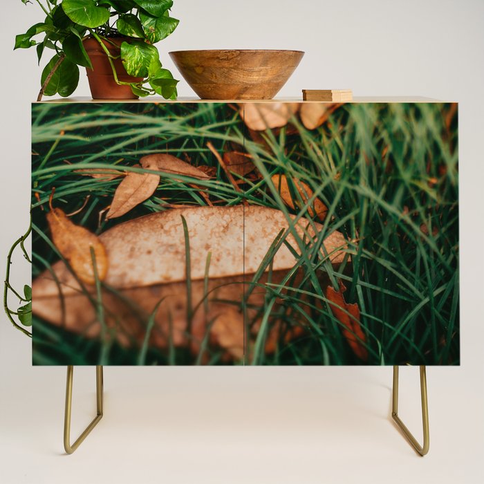 Underfoot Credenza Gallery Image 1