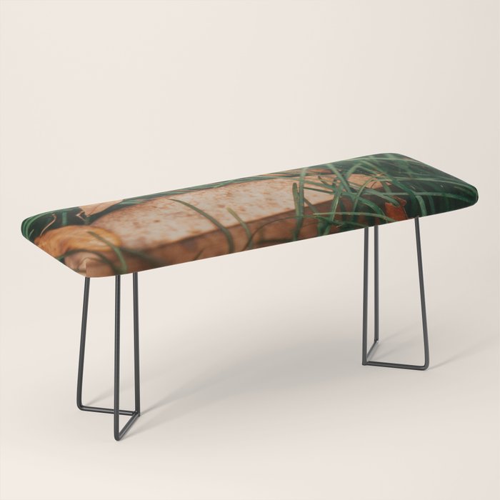 Underfoot Bench Gallery Image 1