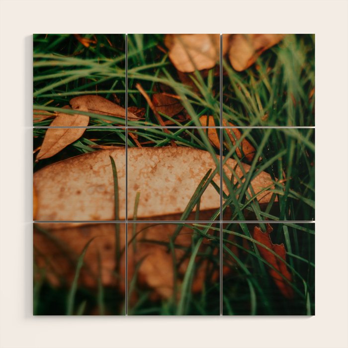 Underfoot Wood Wall Art Gallery Image 1