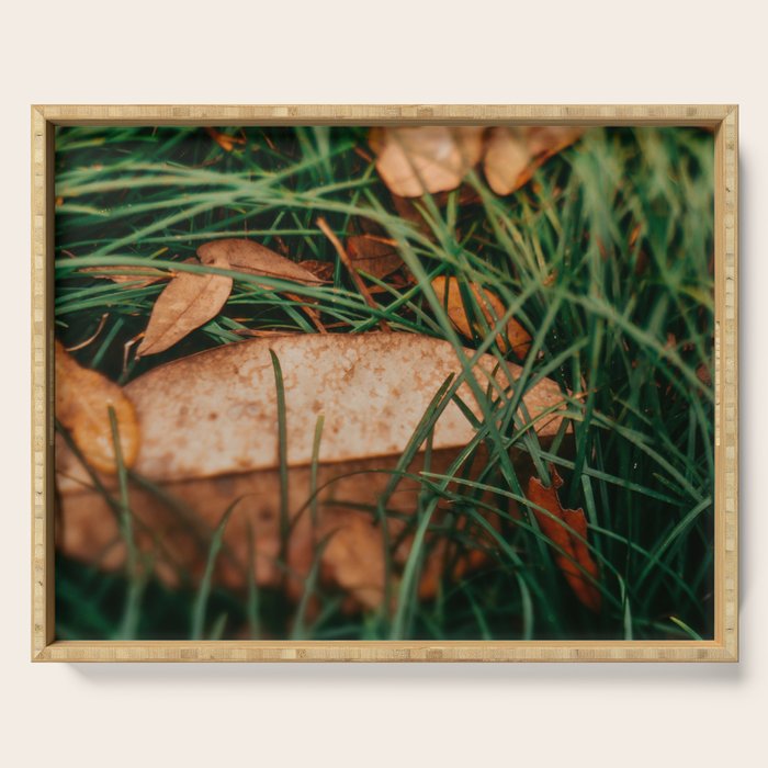 Underfoot Serving Tray Gallery Image 1