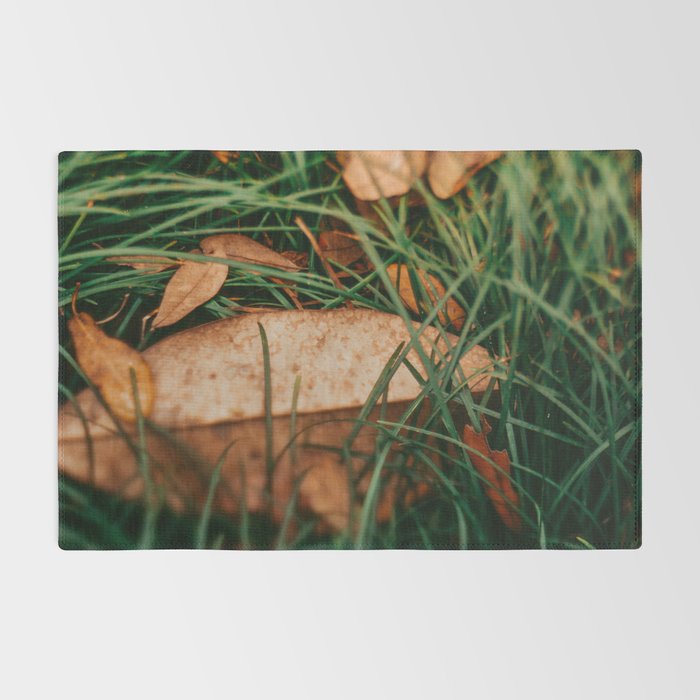 Underfoot Rug Gallery Image 2