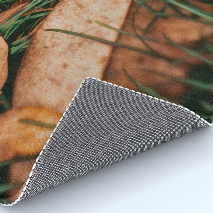 Underfoot Rug Gallery Image 4