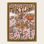Maryland Wildflowers Poster Gallery Image 4
