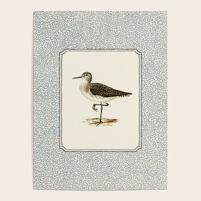 Balancing Sandpiper Poster Gallery Image 4