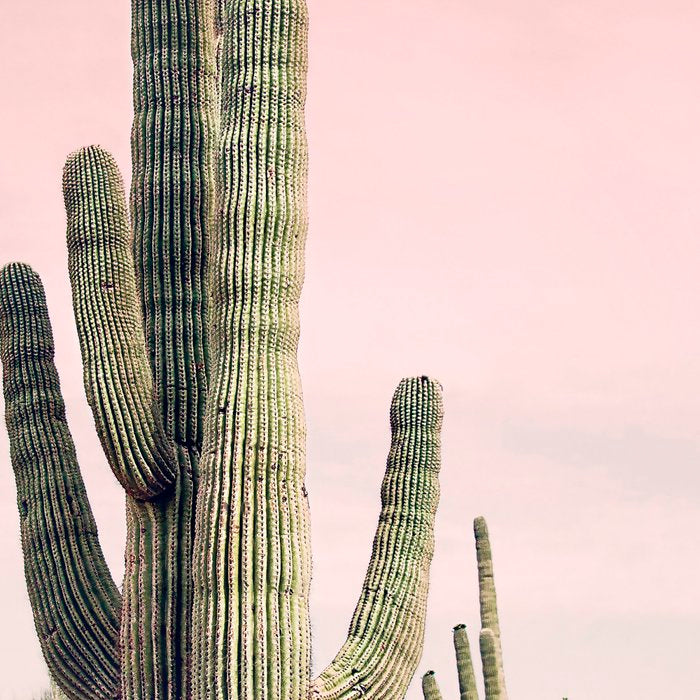 Blush Sky Cactus Coffee Mug Gallery Image 2