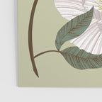 Peonies flowers II Poster Gallery Image 3