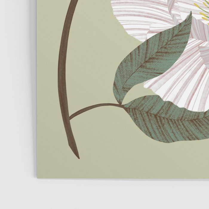 Peonies flowers II Poster Gallery Image 3
