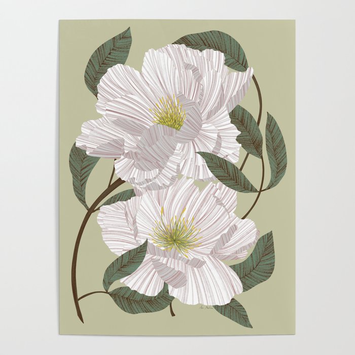 Peonies flowers II Poster Gallery Image 1
