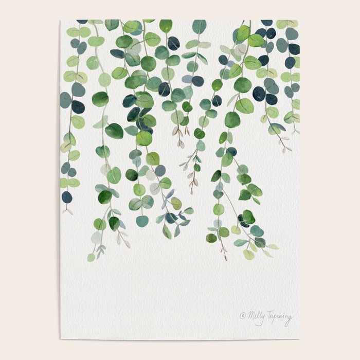 Eucalyptus Watercolor 4 Poster Gallery Image 1