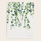 Eucalyptus Watercolor 4 Poster Gallery Image 4