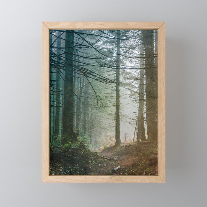 Into The Forest V - Pacific Northwest Nature Adventure Mini Art Print Gallery Image 1
