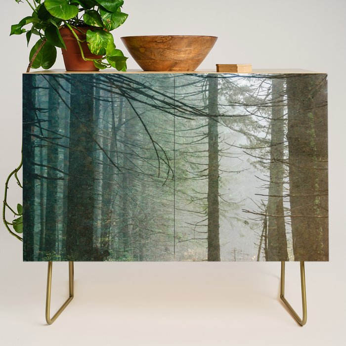 Into The Forest V - Pacific Northwest Nature Adventure Credenza Gallery Image 1