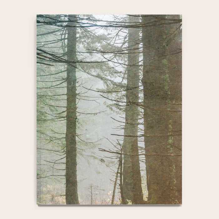 Into The Forest V - Pacific Northwest Nature Adventure Notebook Gallery Image 4