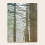 Into The Forest V - Pacific Northwest Nature Adventure Notebook Gallery Image 4