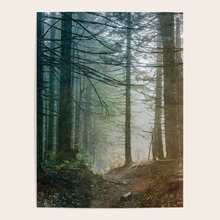 Into The Forest V - Pacific Northwest Nature Adventure Poster Gallery Image 4