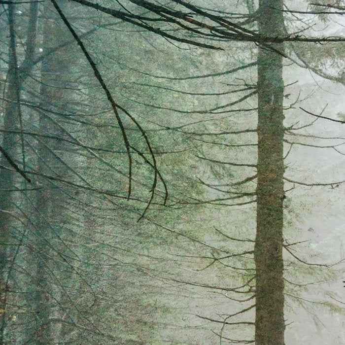 Into The Forest V - Pacific Northwest Nature Adventure Coffee Mug Gallery Image 2