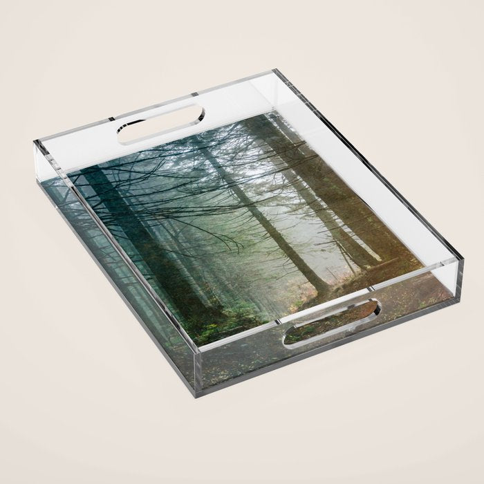 Into The Forest V - Pacific Northwest Nature Adventure Acrylic Tray Gallery Image 1
