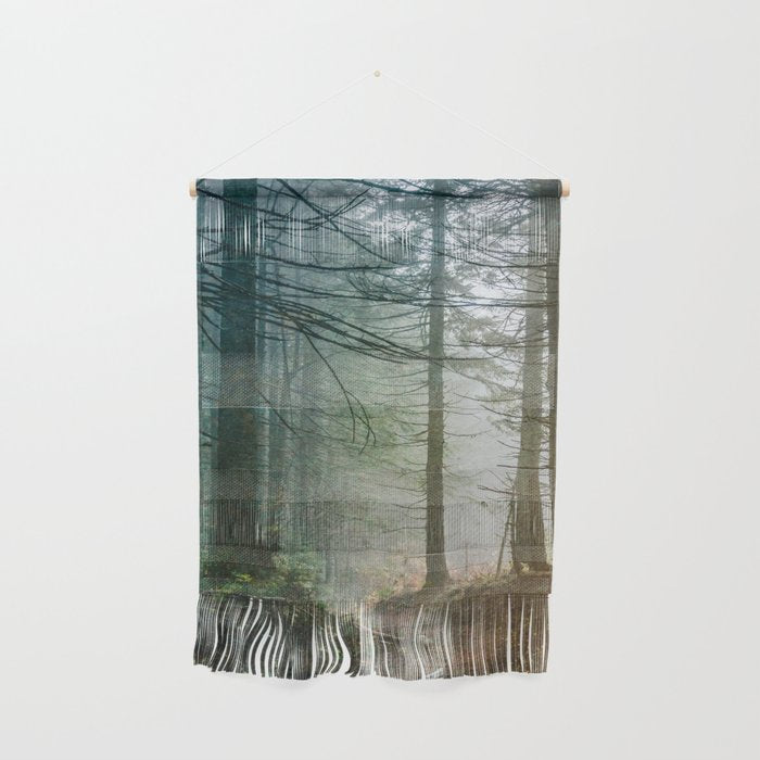 Into The Forest V - Pacific Northwest Nature Adventure Wall Hanging Gallery Image 1