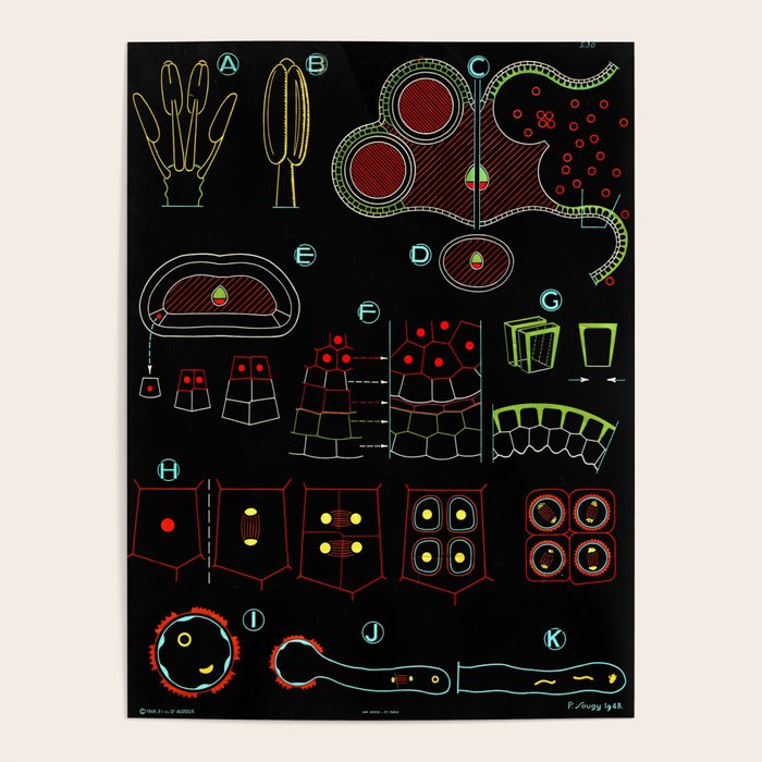 Paul Sougy: Pollen, 1948 (proceeds benefit The Nature Conservancy) Poster Gallery Image 1