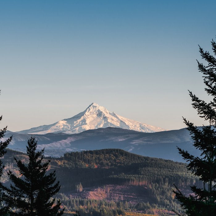 PNW Mount Hood Adventure III Coffee Mug Gallery Image 2