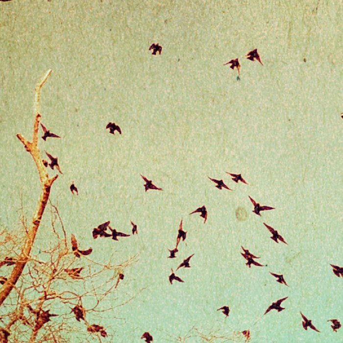 The Birds Coffee Mug Gallery Image 2