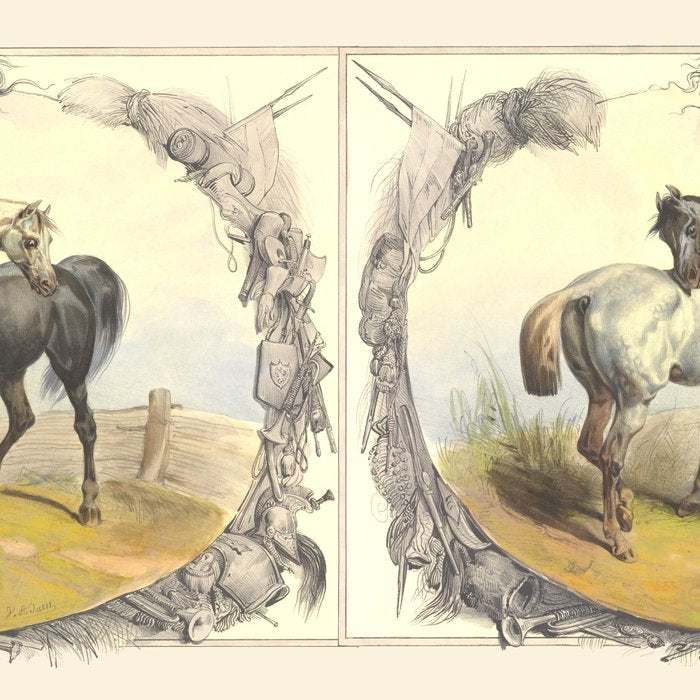 Arabian Horses - Equine Theme Vintage Illustration Coffee Mug Gallery Image 2