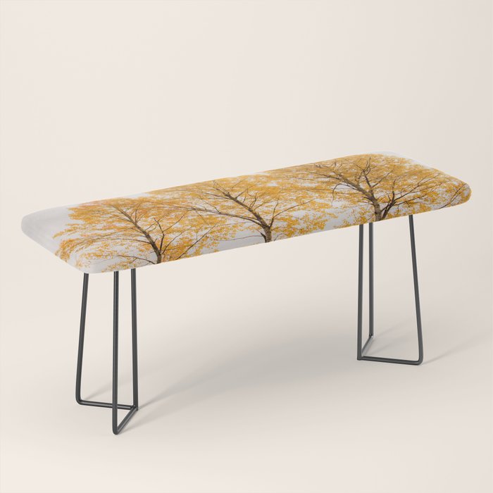 Aspen Trees #decor #society6 #buyart Bench Gallery Image 1