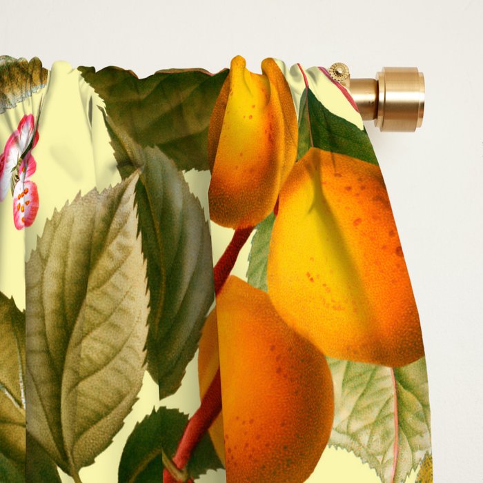 Vintage Fruit Pattern XXI Window Curtain Gallery Image 2
