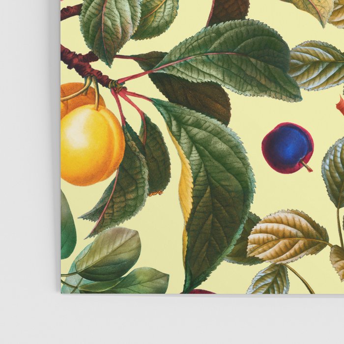 Vintage Fruit Pattern XXI Poster Gallery Image 3