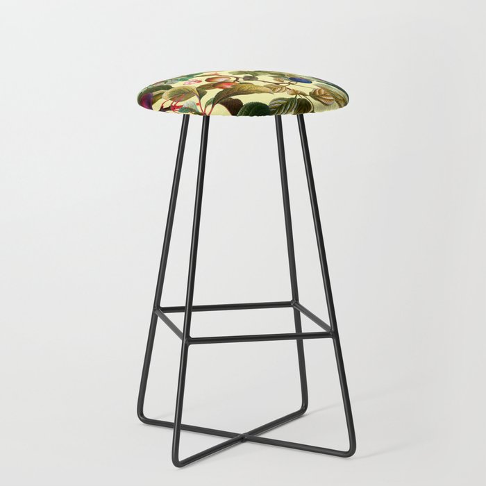 Vintage Fruit Pattern XXI Stool Gallery Image 1