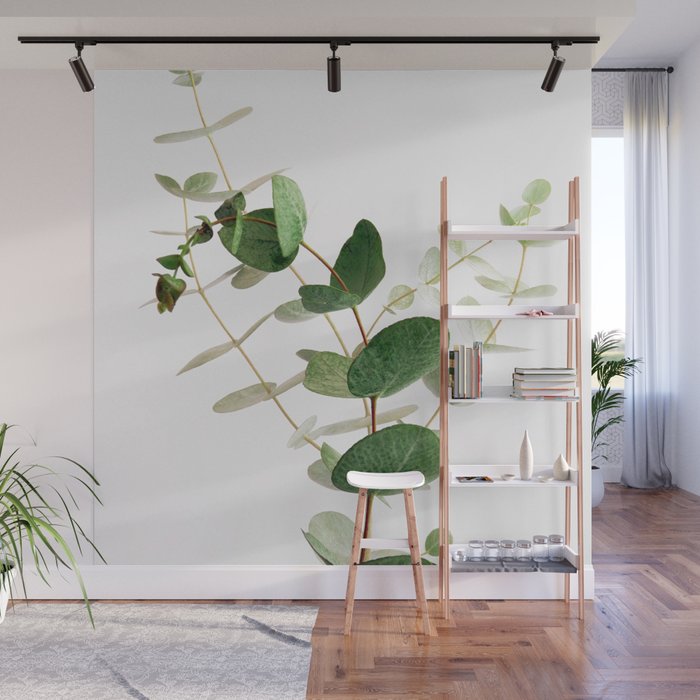 Eucalyptus Wall Mural Gallery Image 1