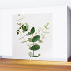 Eucalyptus Wall Mural Gallery Image 2