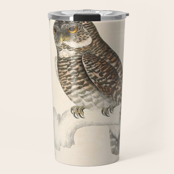 Asian barred owlet by Elizabeth Gould from "A Century of Birds from the Himalaya Mountains," 1831 Travel Mug Gallery Image 1