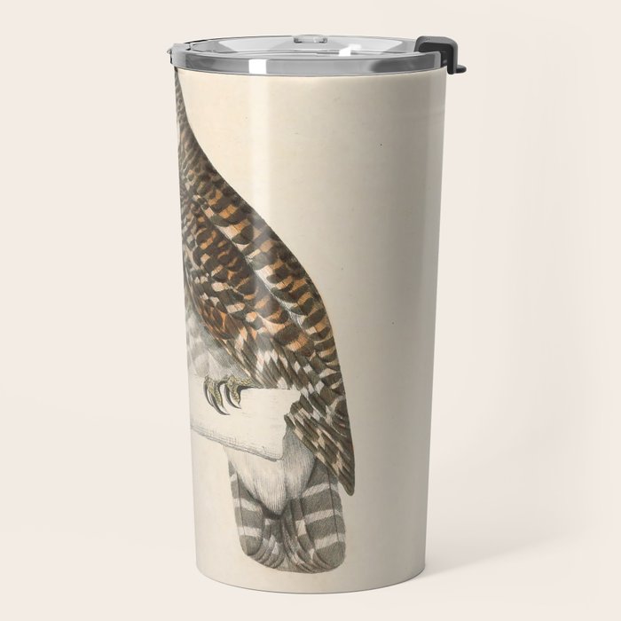 Asian barred owlet by Elizabeth Gould from "A Century of Birds from the Himalaya Mountains," 1831 Travel Mug Gallery Image 2