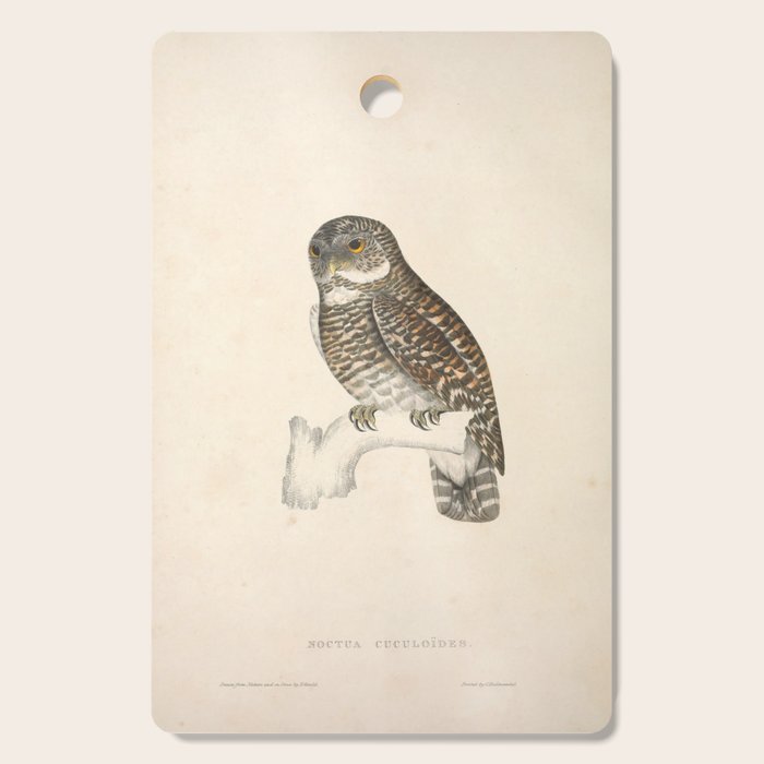 Asian barred owlet by Elizabeth Gould from "A Century of Birds from the Himalaya Mountains," 1831 Cutting Board Gallery Image 1