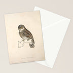 Asian barred owlet by Elizabeth Gould from "A Century of Birds from the Himalaya Mountains," 1831 Stationery Card Gallery Image 2
