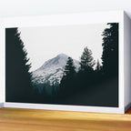 Mount Hood XV Wall Mural Gallery Image 2