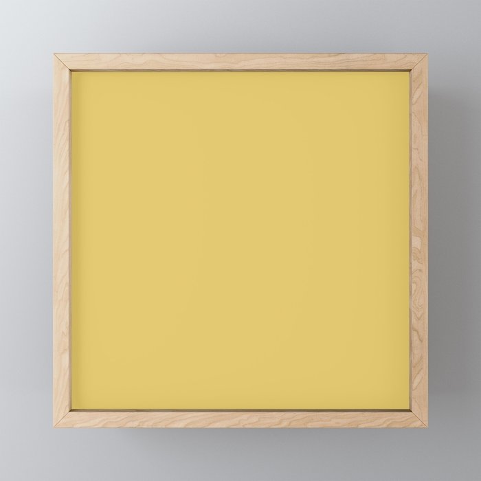 Muted Mustard Yellow Solid Colour Mini Art Print Gallery Image 1