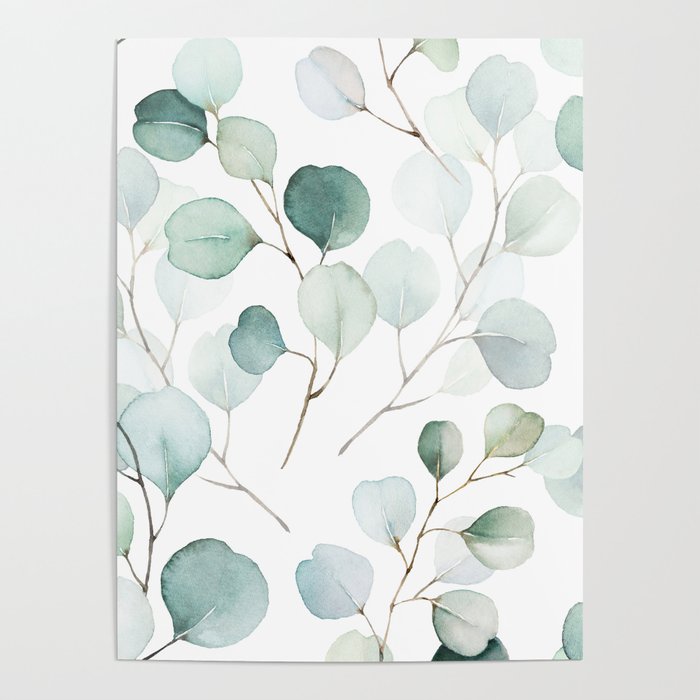 Watercolor Eucalyptus branches, botanical art, green blue leaves Poster Gallery Image 4