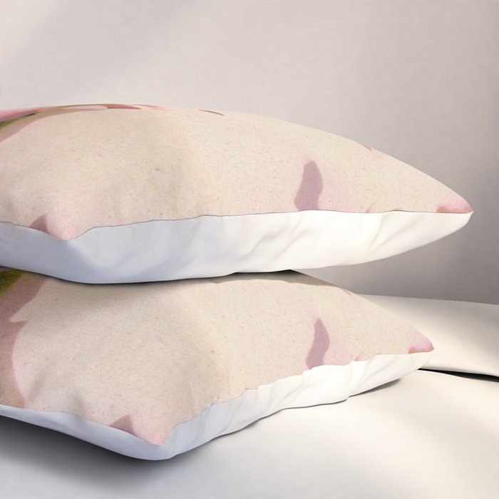 Magic in the Ordinary #6 Pillow Sham Gallery Image 3