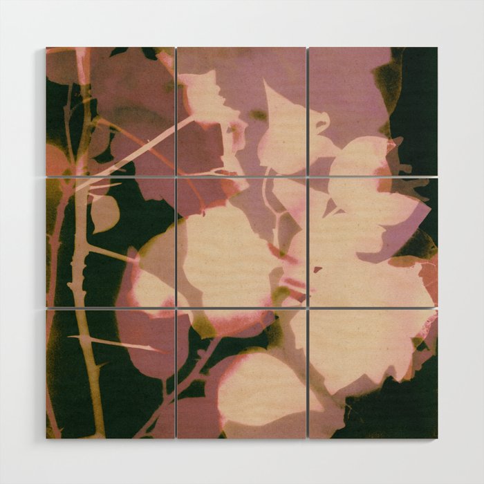 Magic in the Ordinary #6 Wood Wall Art Gallery Image 1